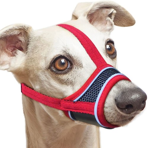 Adjustable strap dog - adjustable,